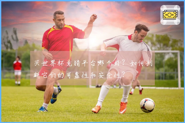 买世界杯竞猜平台哪个好？如何判断它们的可靠性和安全性？