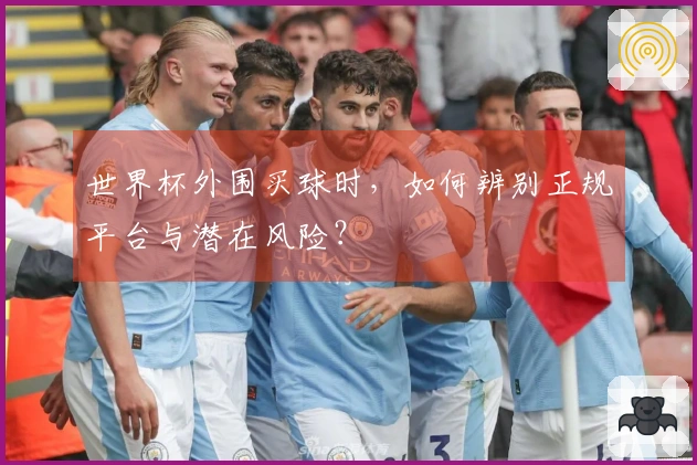 世界杯外围买球时，如何辨别正规平台与潜在风险？