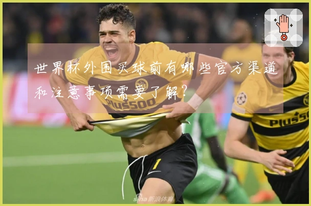 世界杯外围买球前有哪些官方渠道和注意事项需要了解？